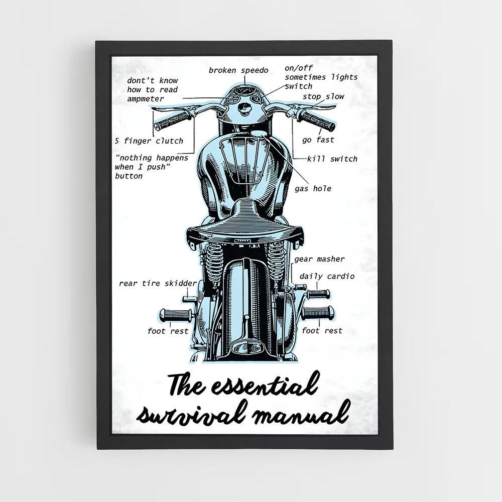 Poster Triumph Survival Guide (vue 2)