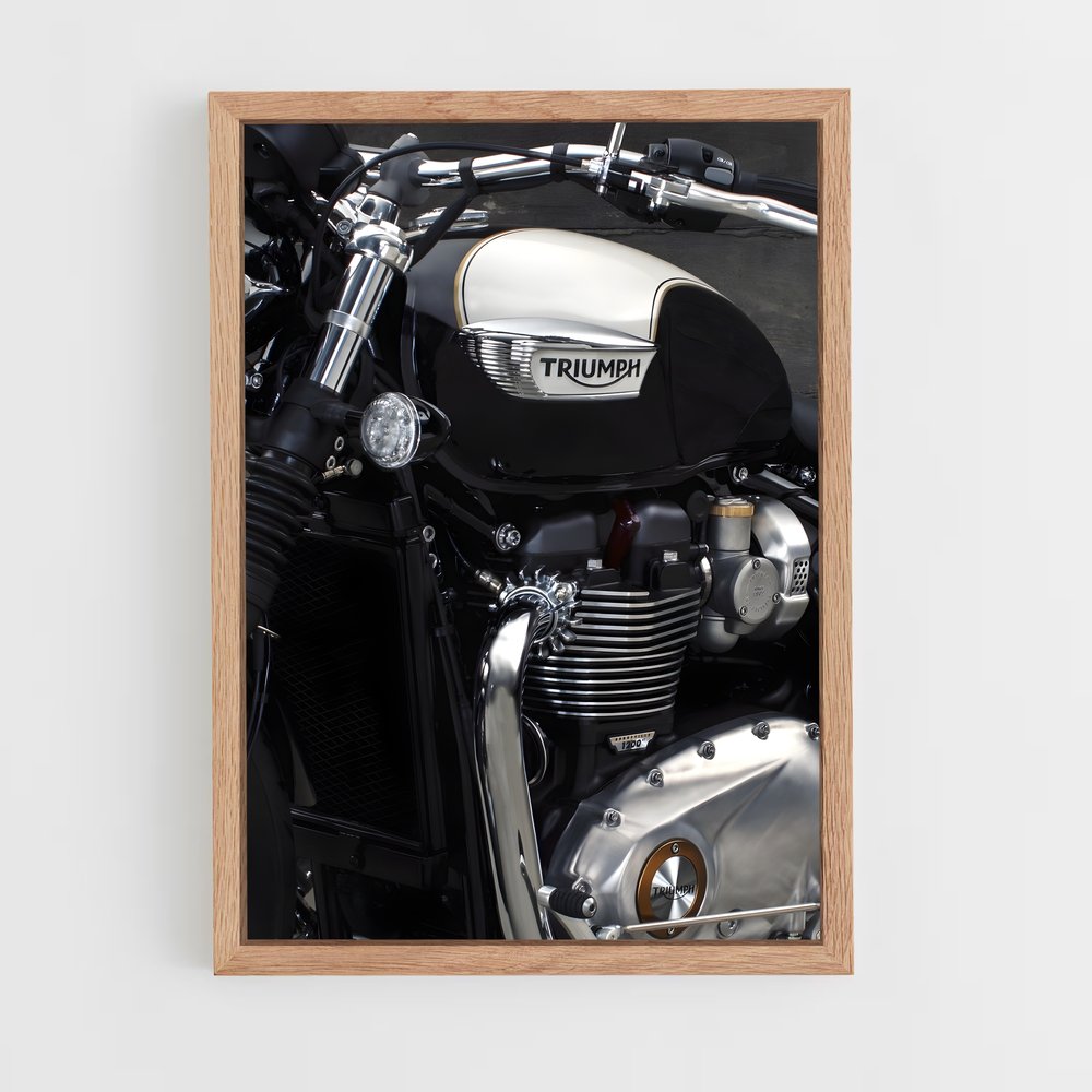 Poster Ride Vintage – affiche Triumph (vue 4)