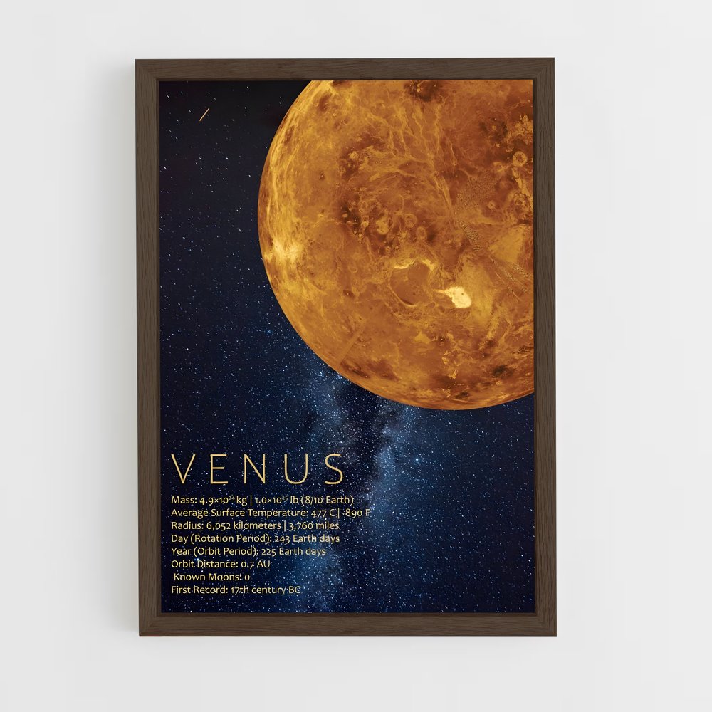 Poster Maternité Élégante (vue 5)