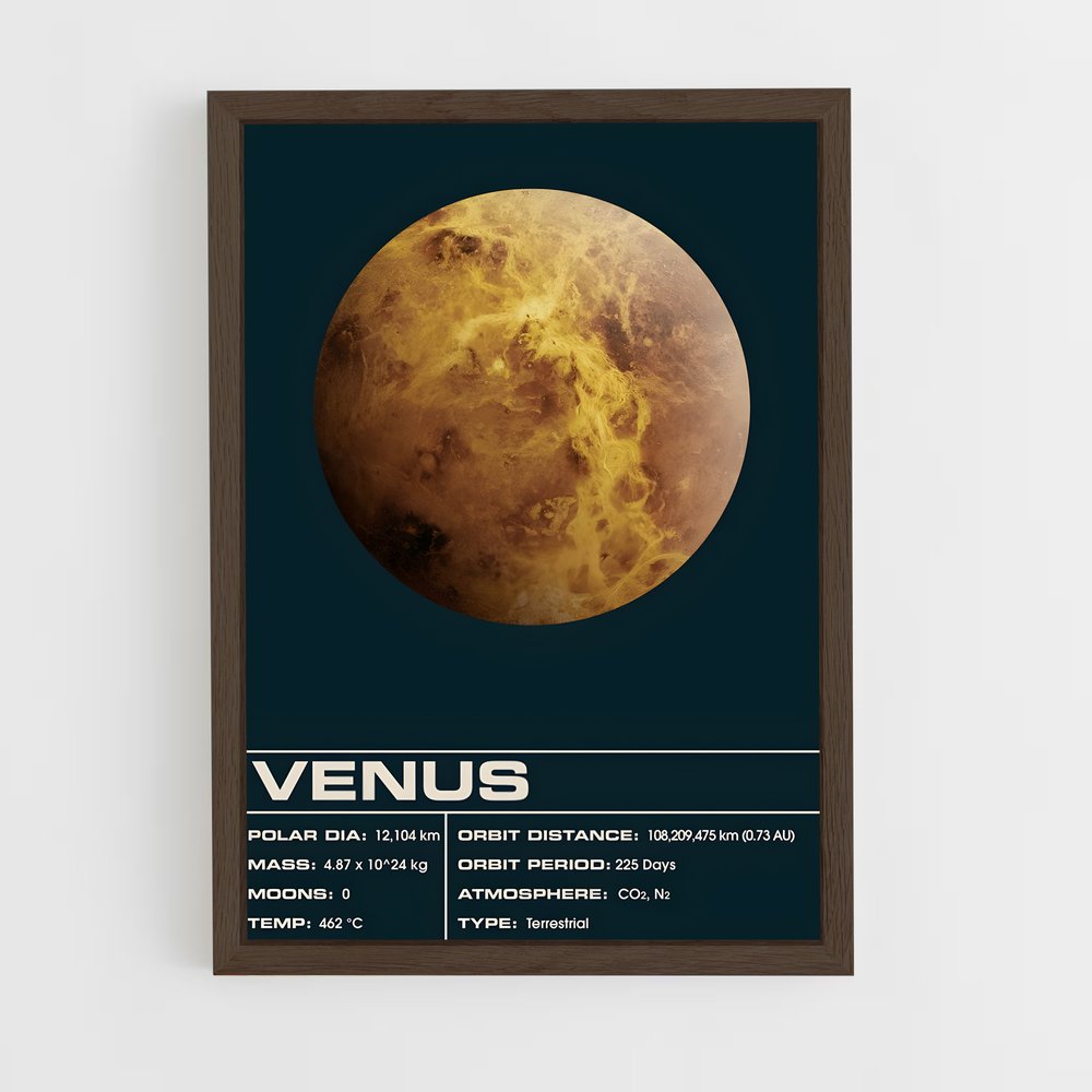 Poster Vénus Exploration (vue 5)
