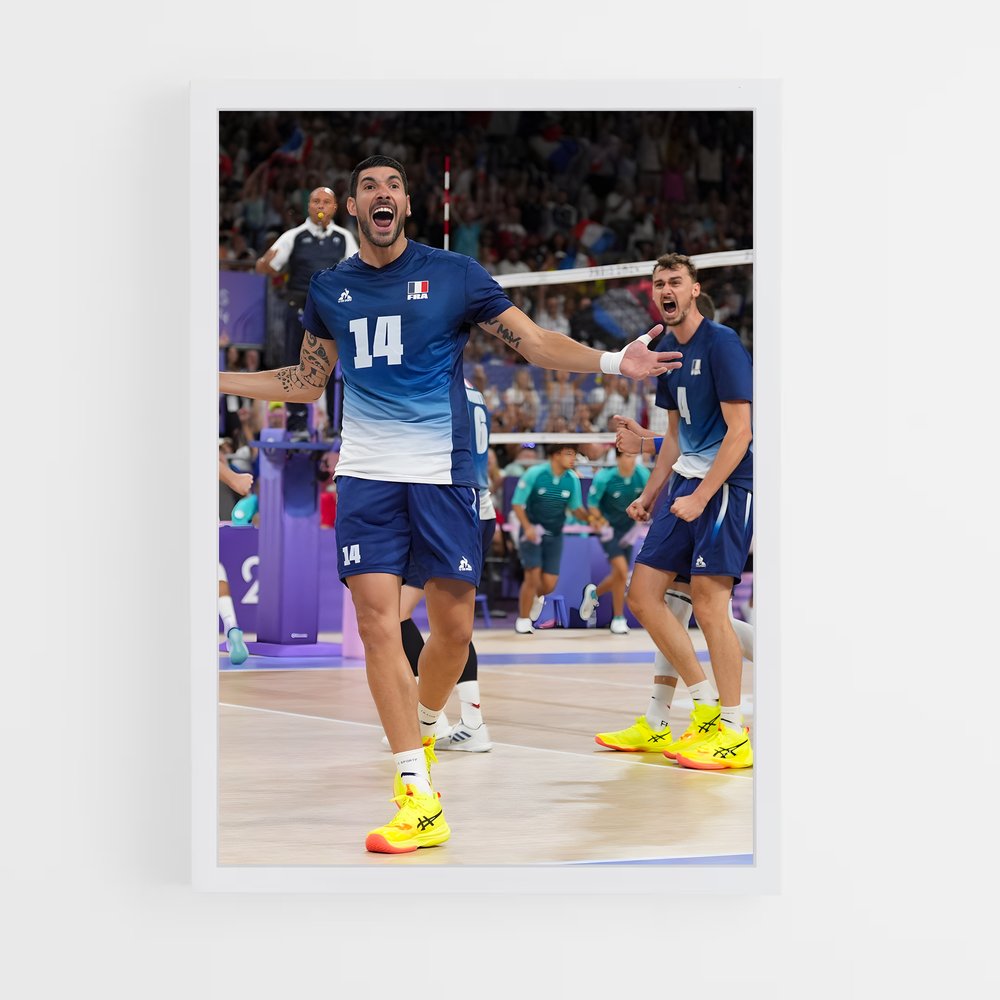 Poster Joie du Volleyball (vue 3)