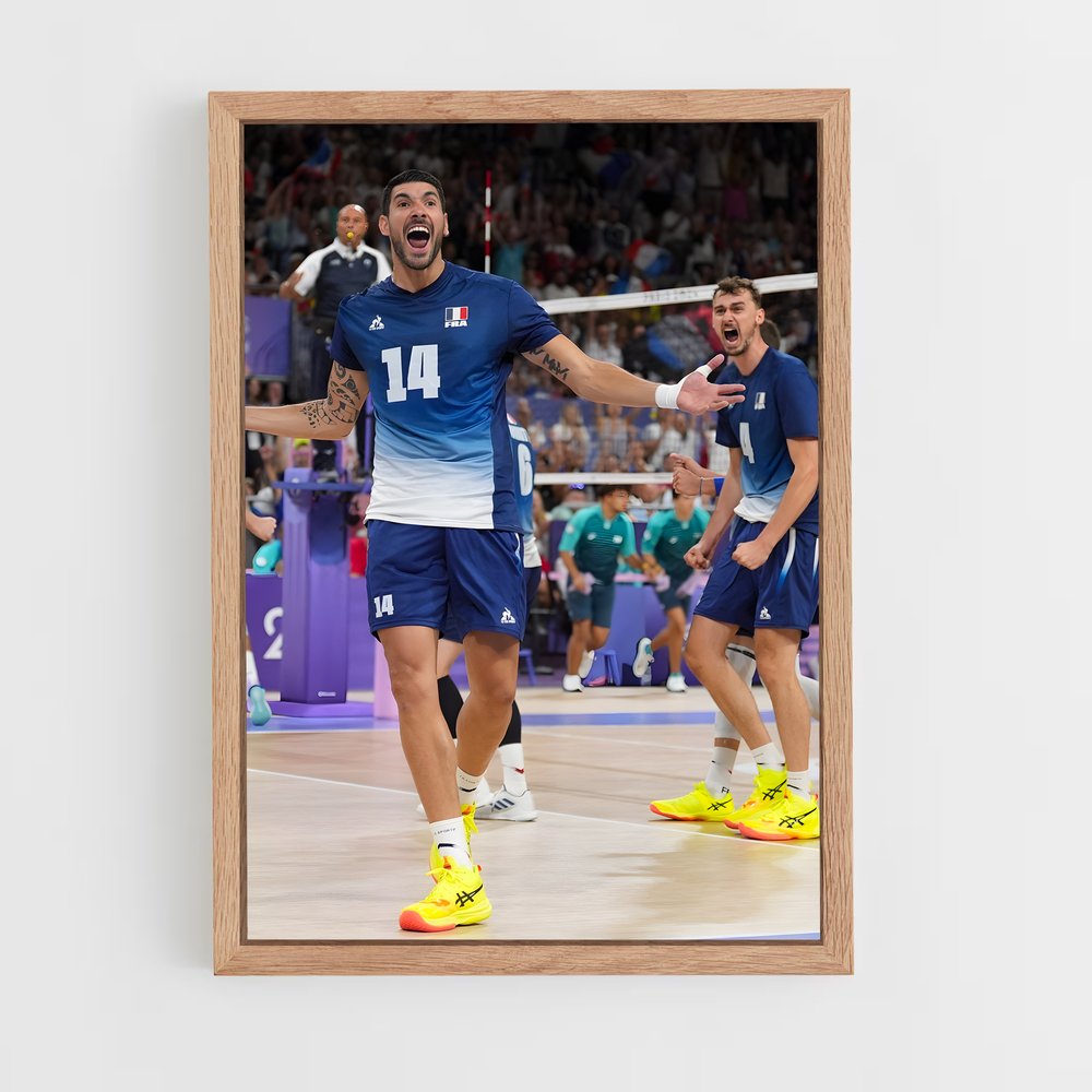 Poster Joie du Volleyball (vue 4)