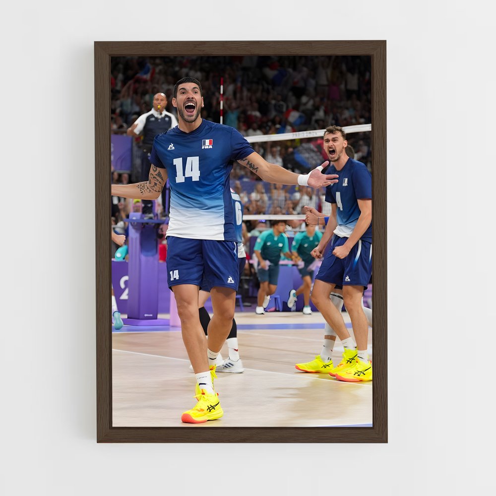 Poster Joie du Volleyball (vue 5)