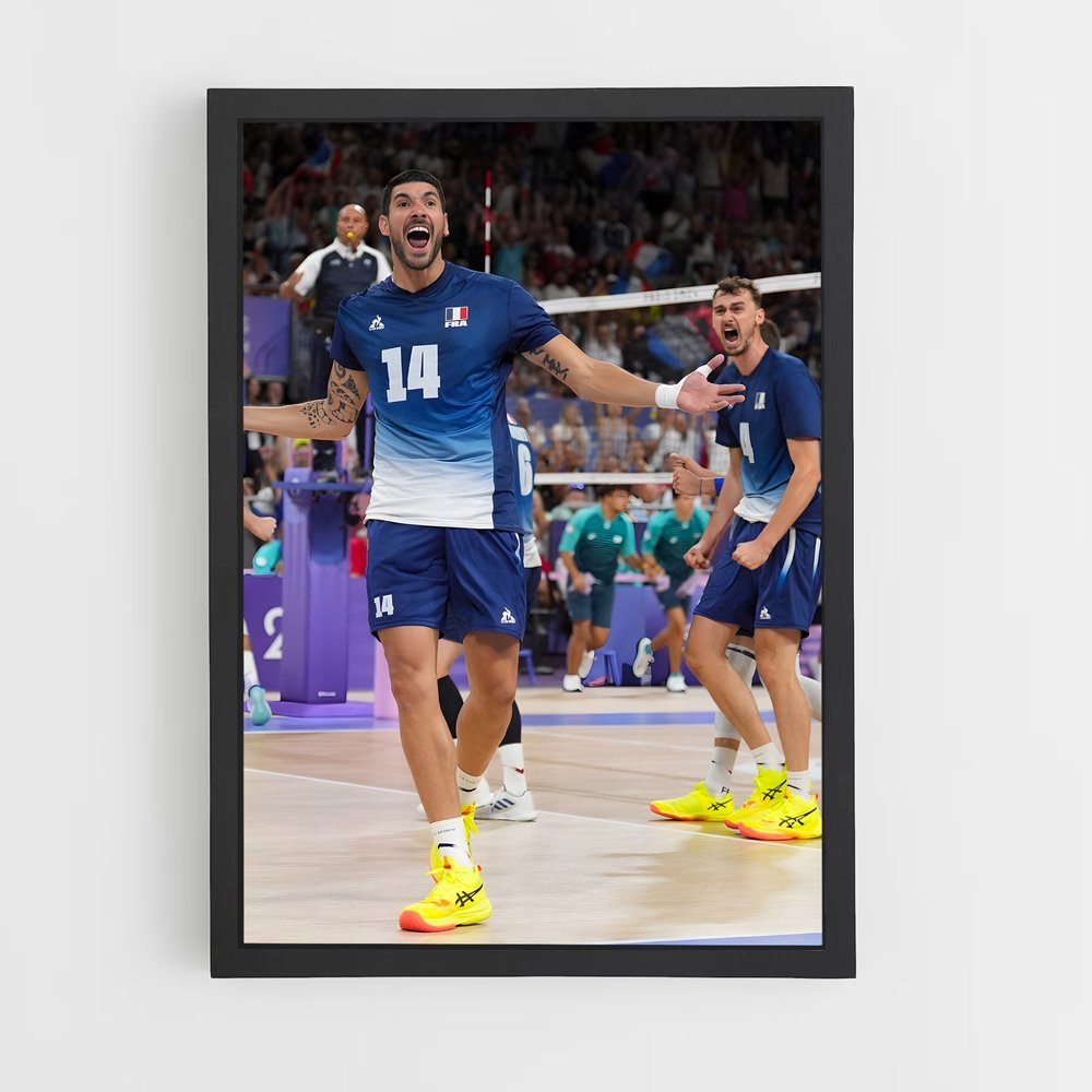 Poster Joie du Volleyball (vue 2)