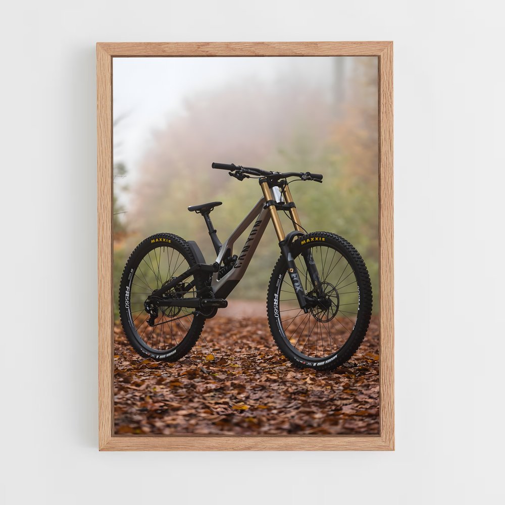 Poster Trail Automnal (vue 4)