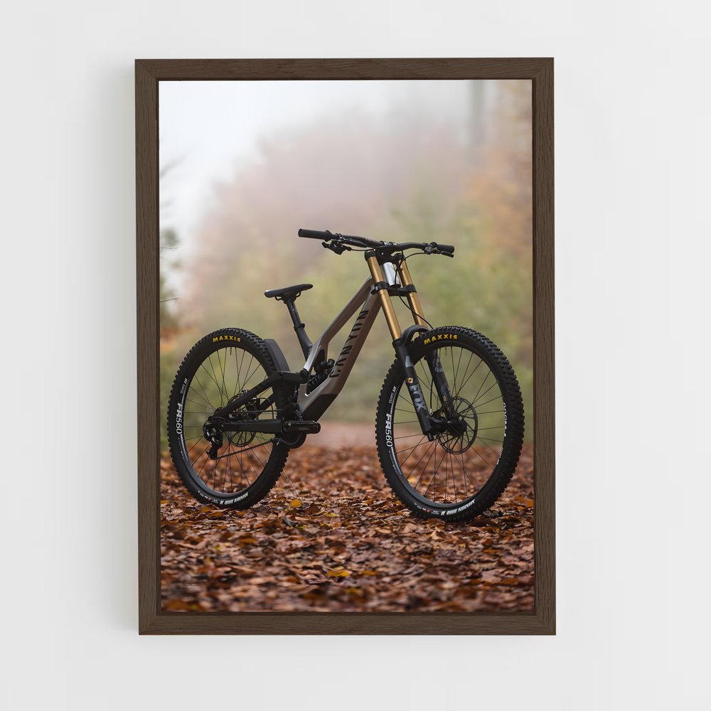 Poster Trail Automnal (vue 5)
