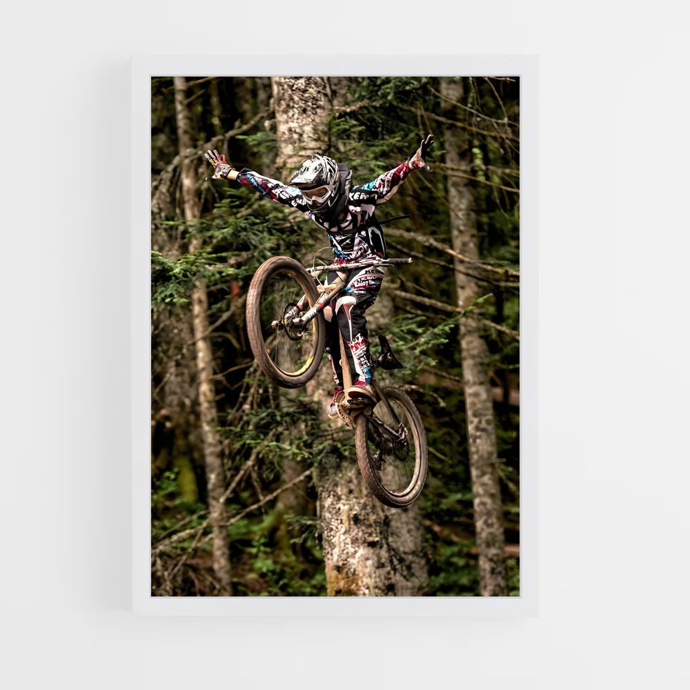 Poster VTT Aventure Aérienne (vue 3)