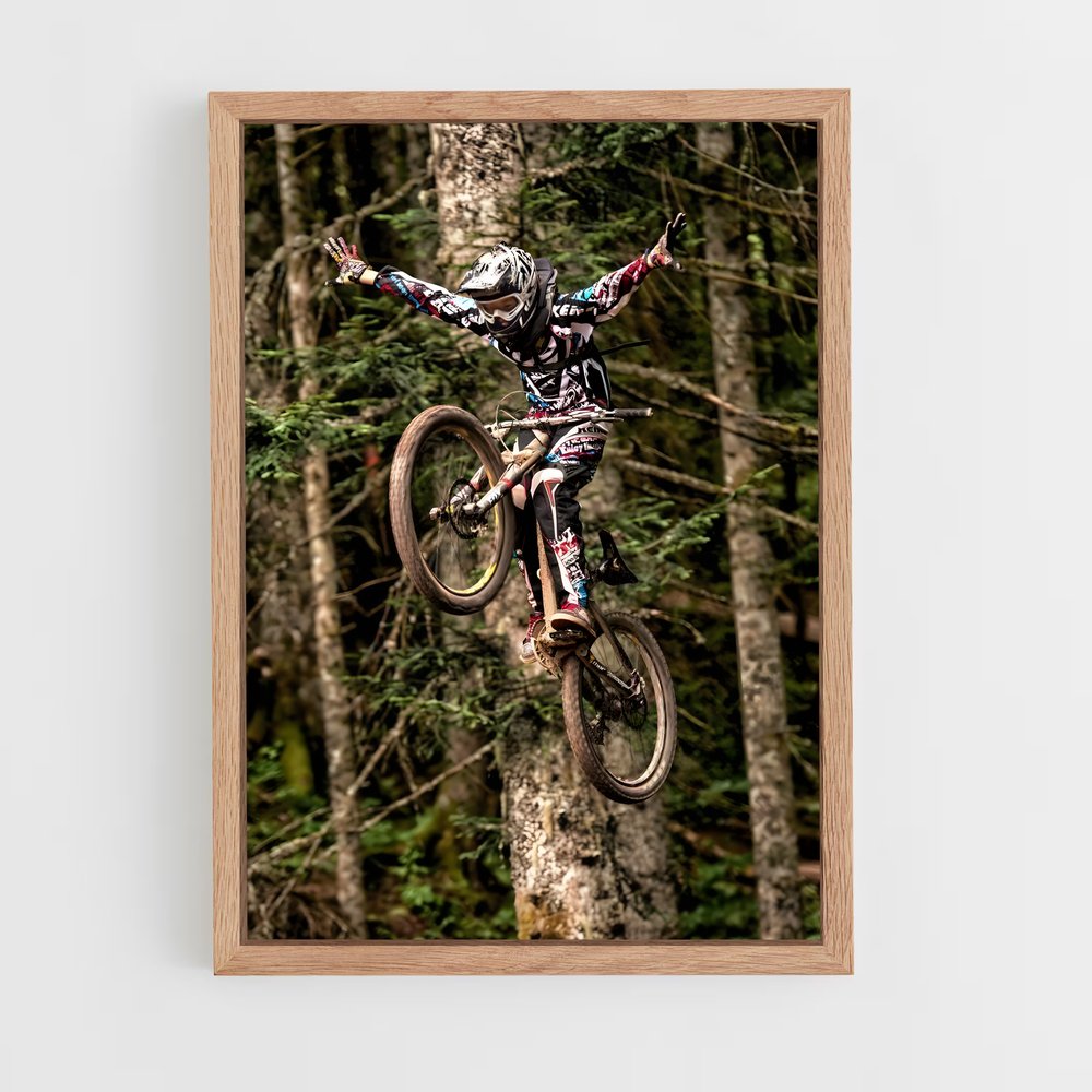 Poster VTT Aventure Aérienne (vue 4)