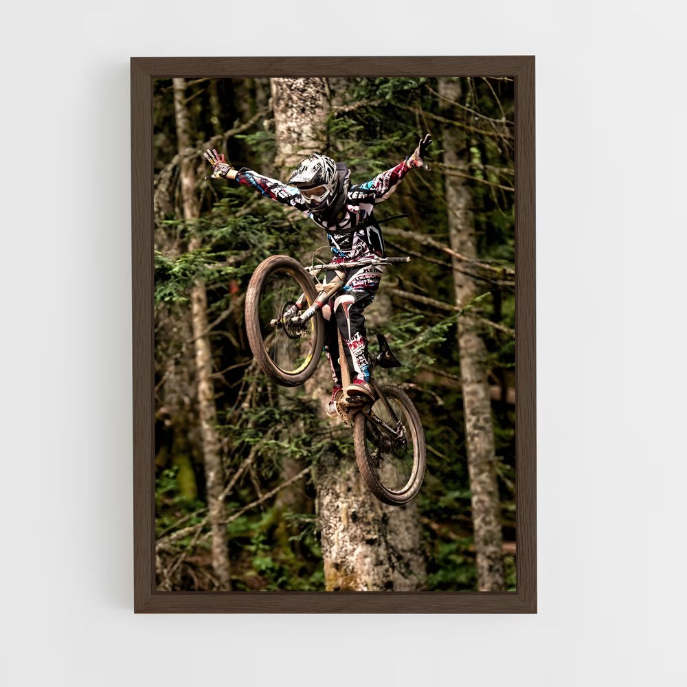 Poster VTT Aventure Aérienne (vue 5)