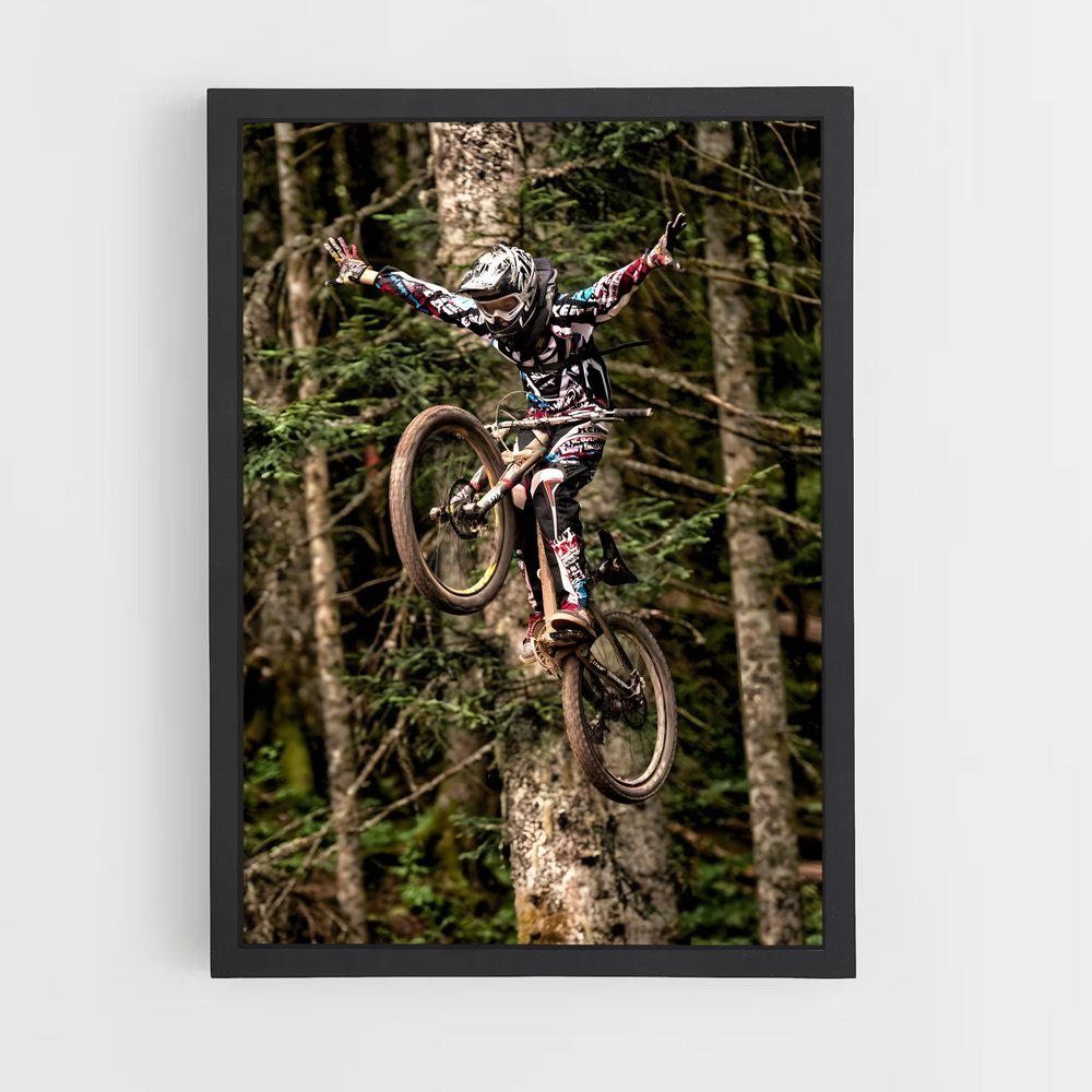 Poster VTT Aventure Aérienne (vue 2)
