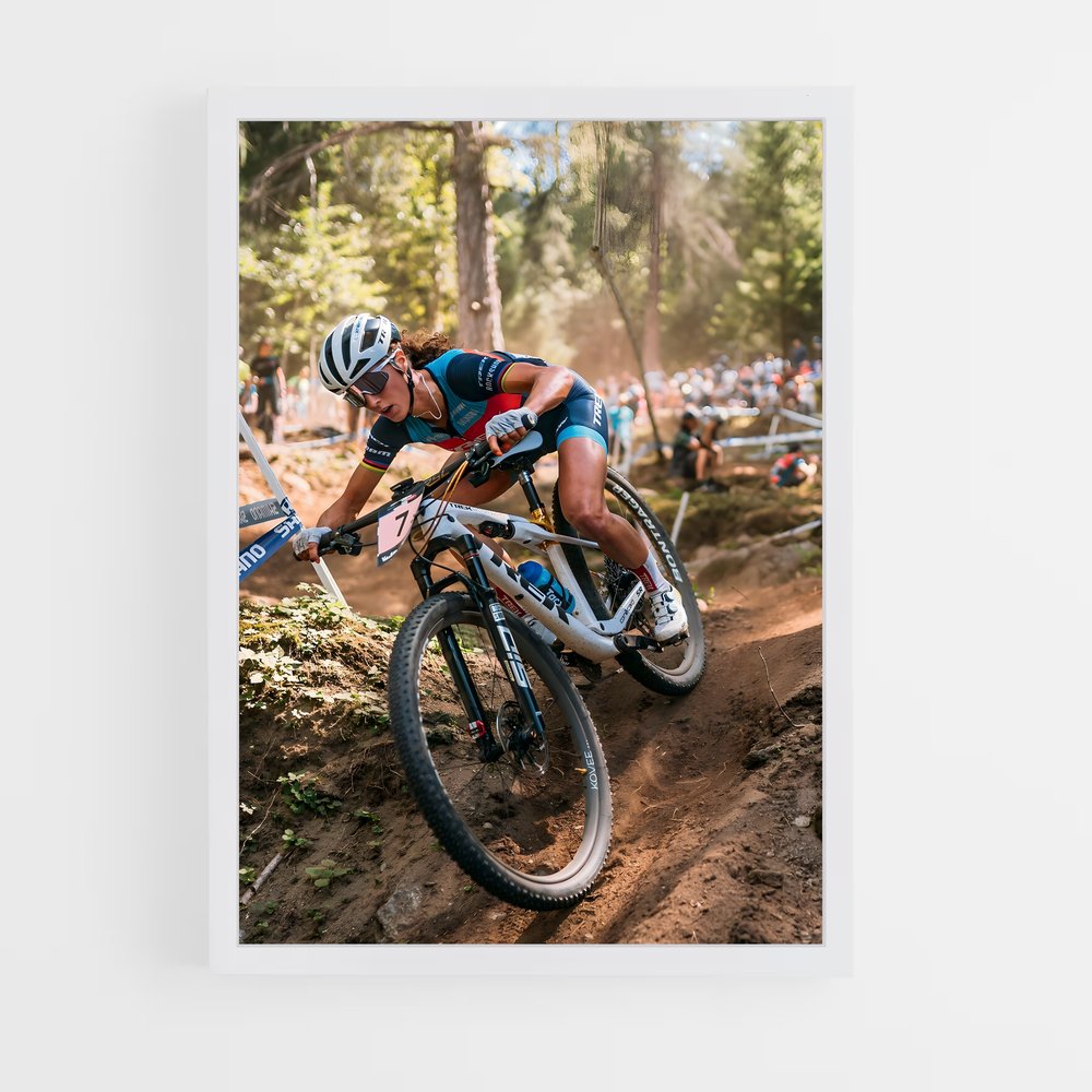 Poster Adrénaline VTT (vue 3)