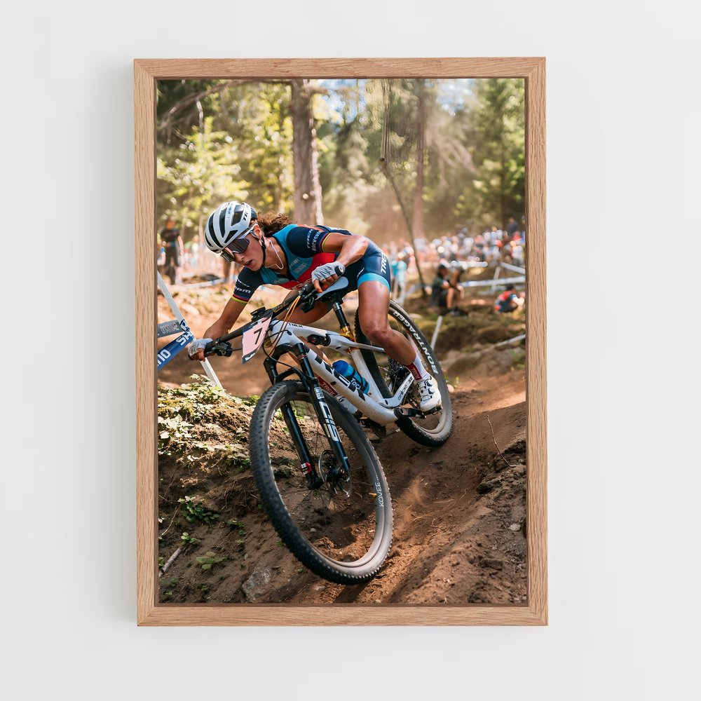 Poster Adrénaline VTT (vue 4)
