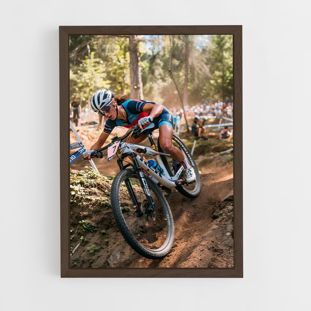 Poster Adrénaline VTT (vue 5)
