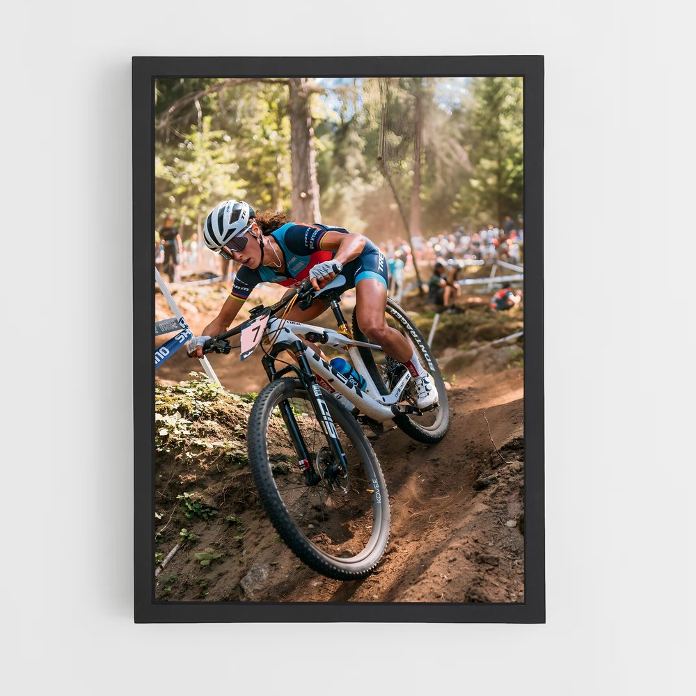 Poster Adrénaline VTT (vue 2)