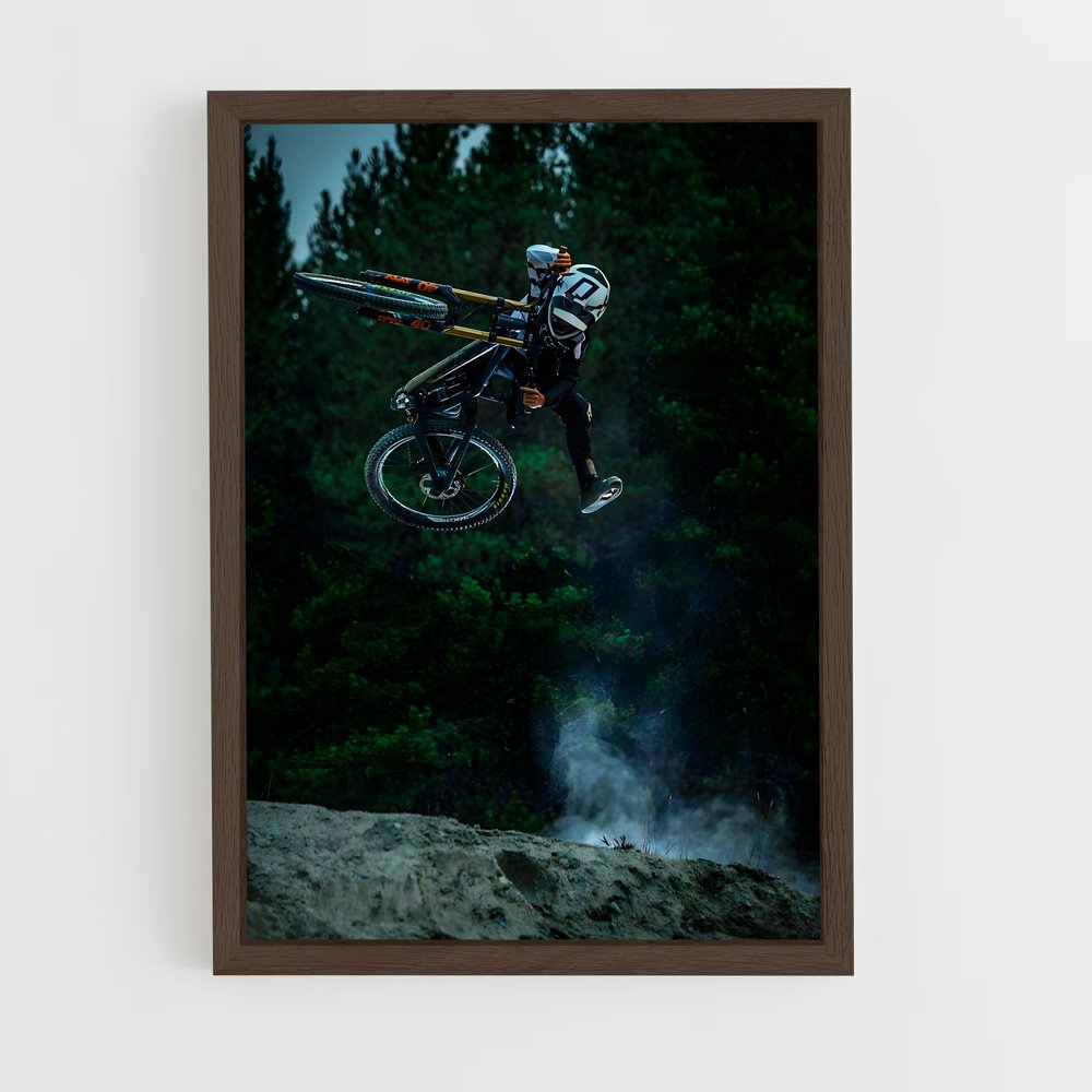 Poster Saut de VTT (vue 5)