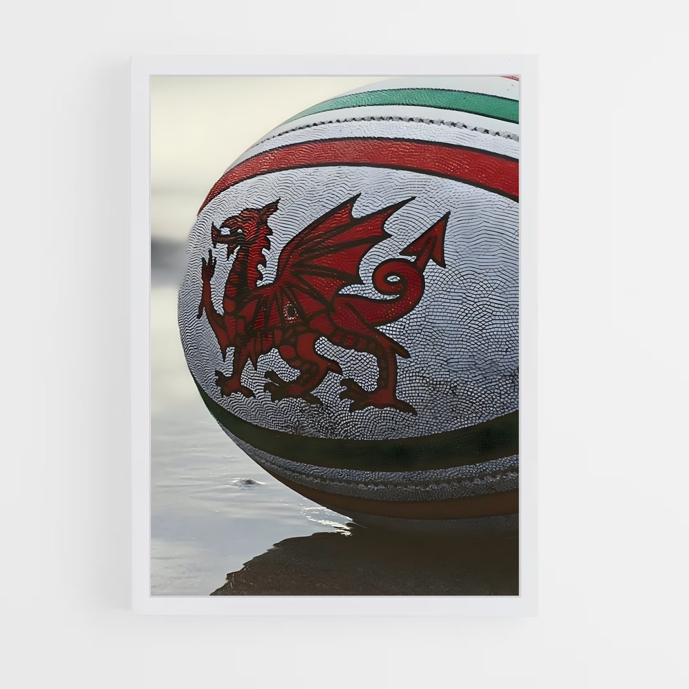 Poster Dragon Rugby (vue 3)