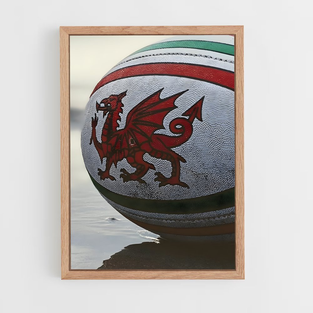 Poster Dragon Rugby (vue 4)