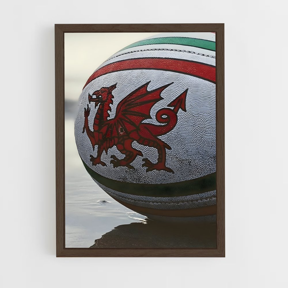 Poster Dragon Rugby (vue 5)