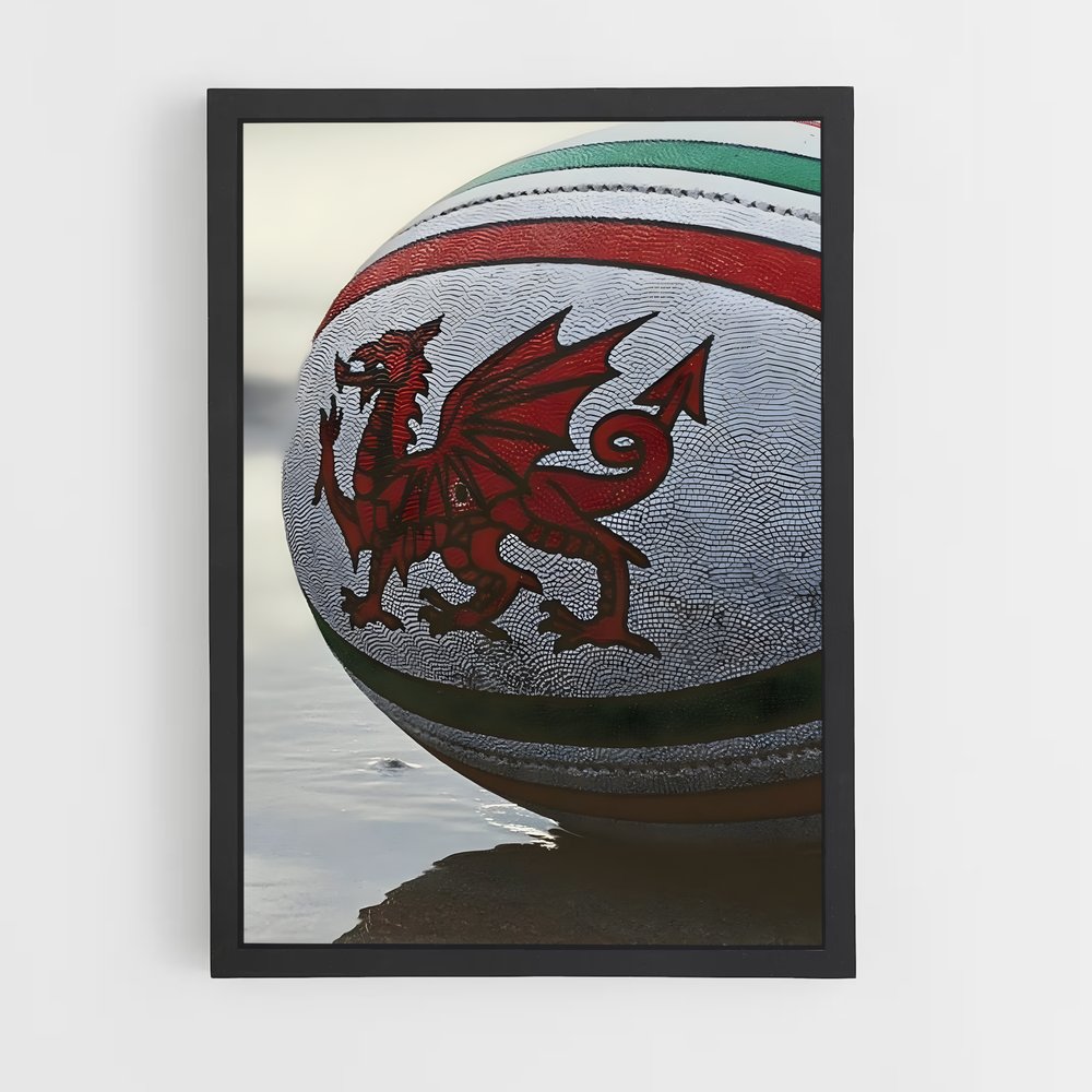Poster Dragon Rugby (vue 2)