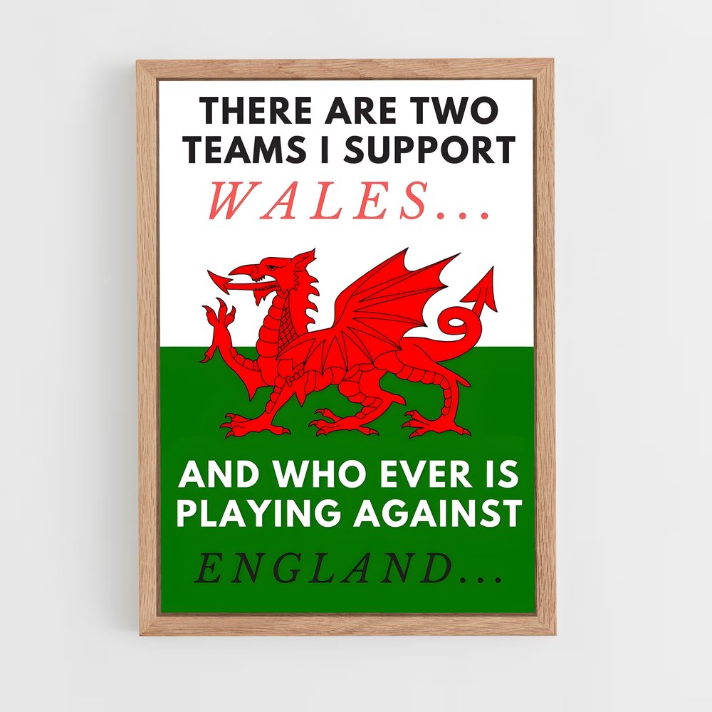 Poster Support Welsh Rugby (vue 4)