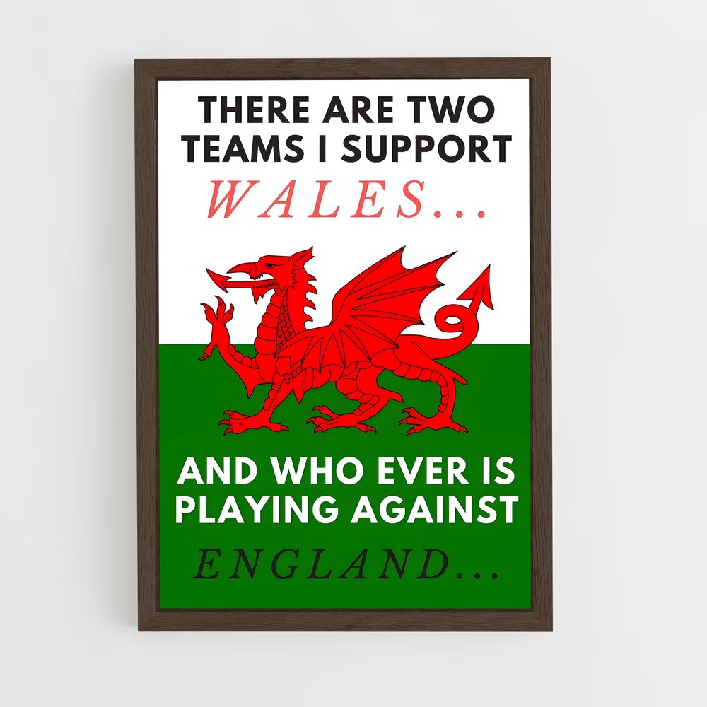 Poster Support Welsh Rugby (vue 5)