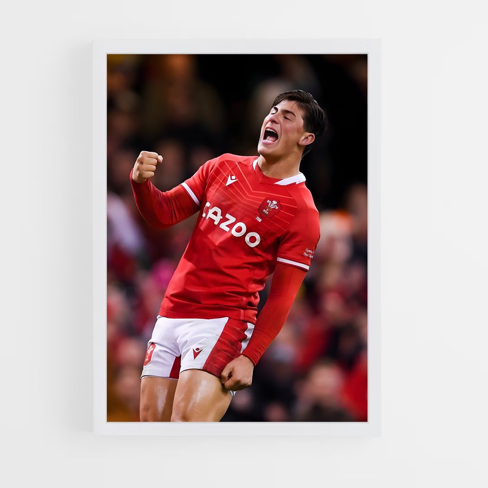Poster Triomphe Rugby Pays de Galles (vue 3)