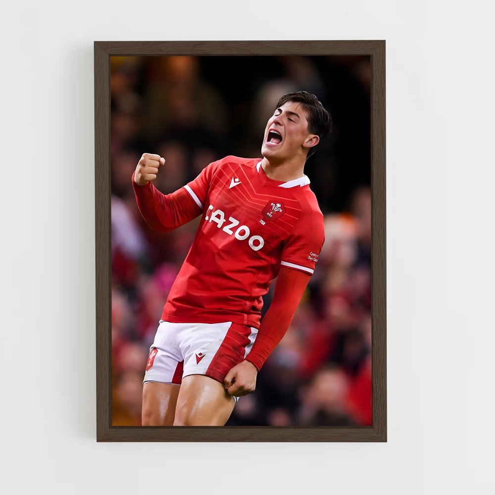 Poster Triomphe Rugby Pays de Galles (vue 5)