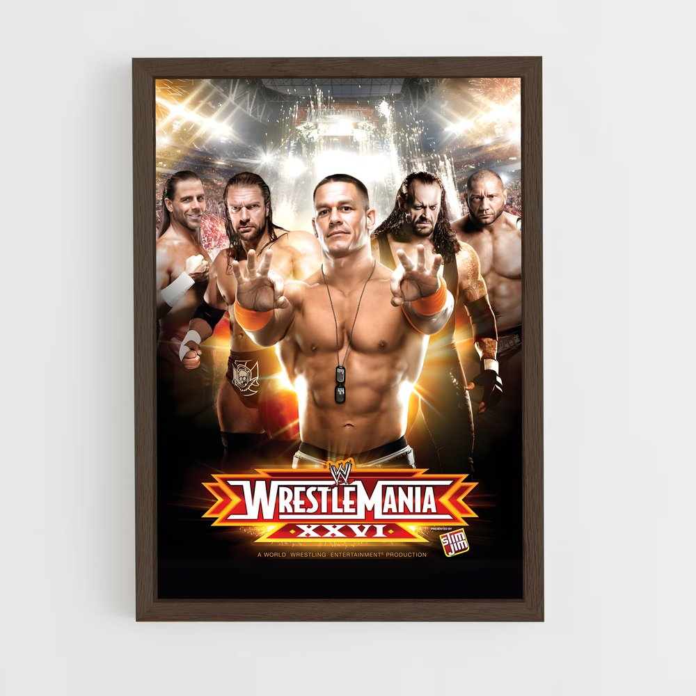Poster Wrestle Mania XXVI (vue 5)